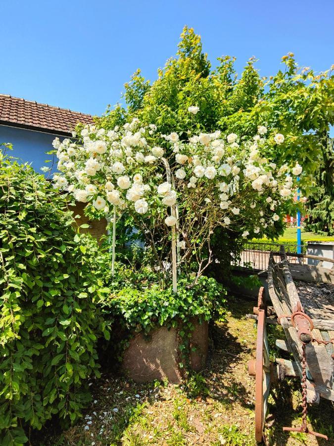 Au Coeur De L'Alsace Villa Eschau Ngoại thất bức ảnh